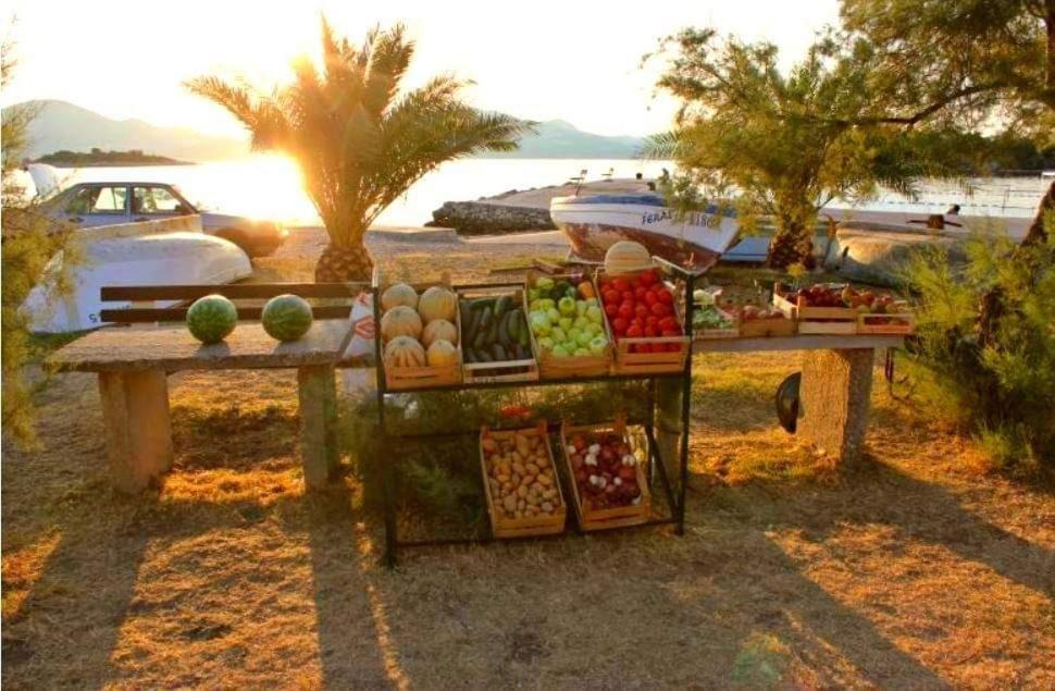 Domus Nostrae - Peljesac 1 Holiday home