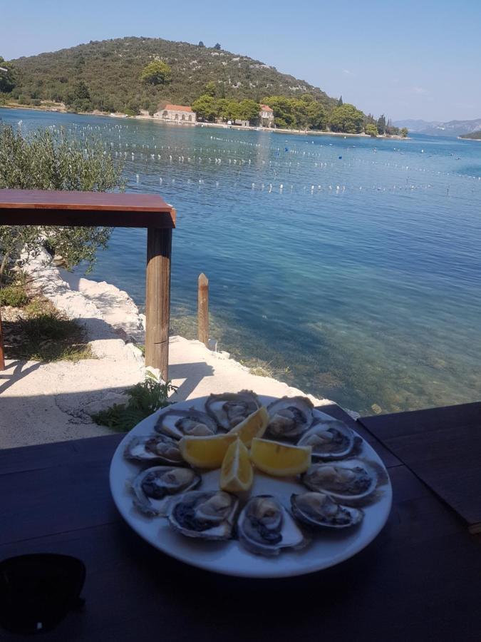 Domus Nostrae - Peljesac 1 Holiday home *