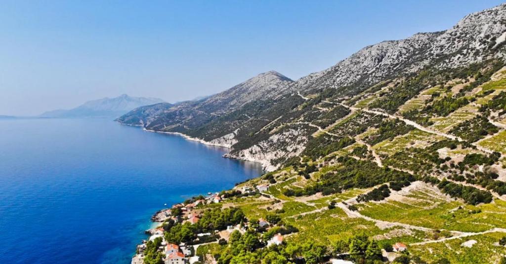 Holiday home Domus Nostrae - Peljesac 1 Sreser